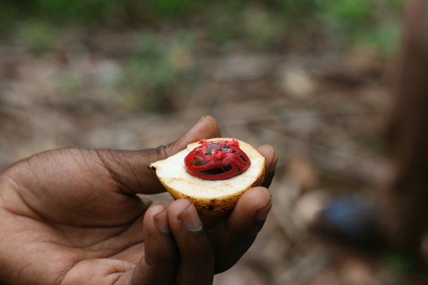 La ferme aux épices de Zanzibar - Poulette Blog