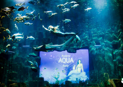 Poulette Aqua Party, le plein de découvertes au fond des océans
