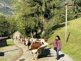 Escapade gourmande sur la Route des Fromages de Savoie